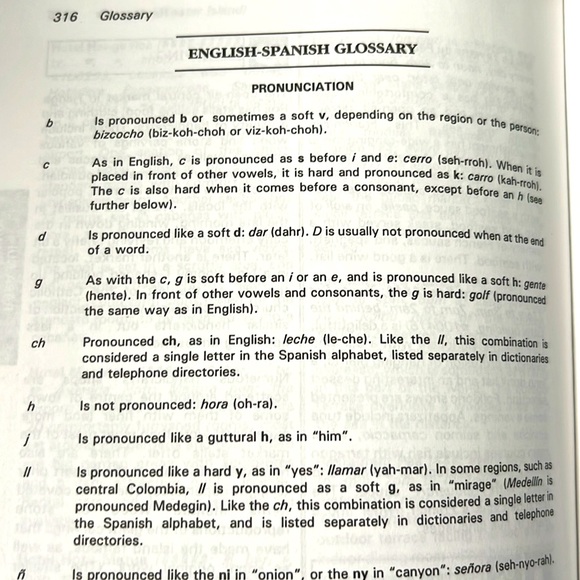 Chile Ulysses Travel Guide - Picture 11 of 16